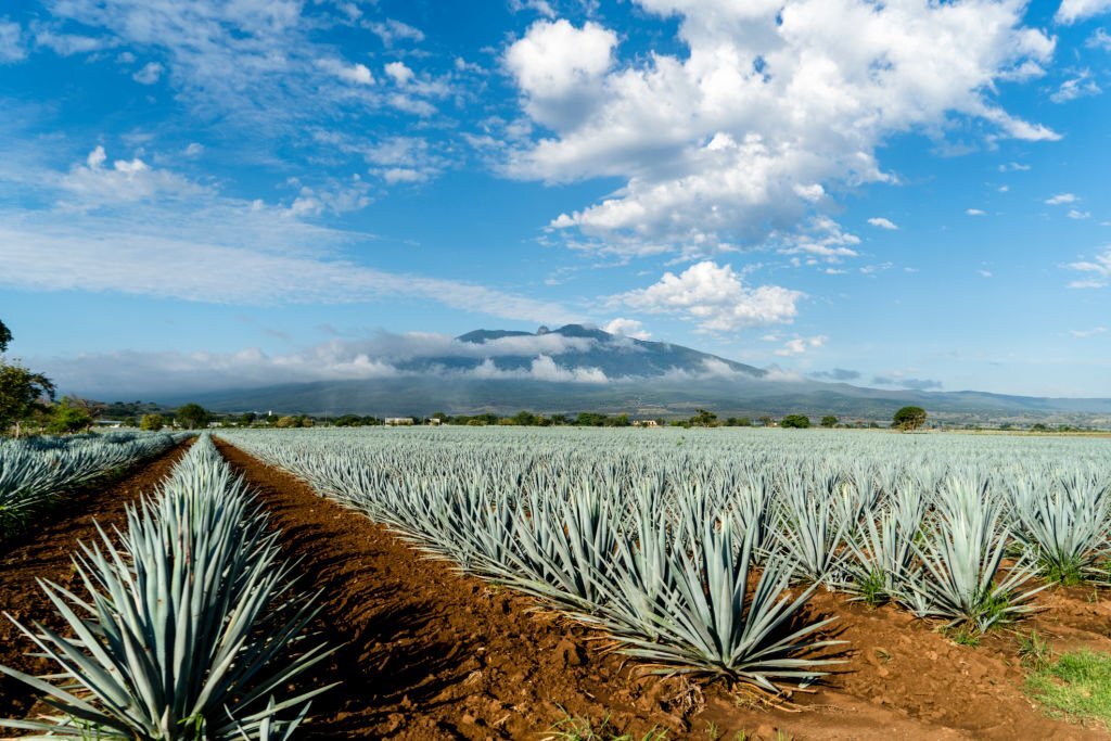 Jalisco